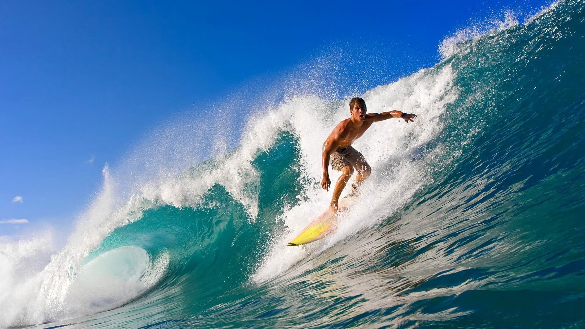 kaiyun网站-全景追踪：最难的赛段、最刺激的超车瞬间，全景快讯