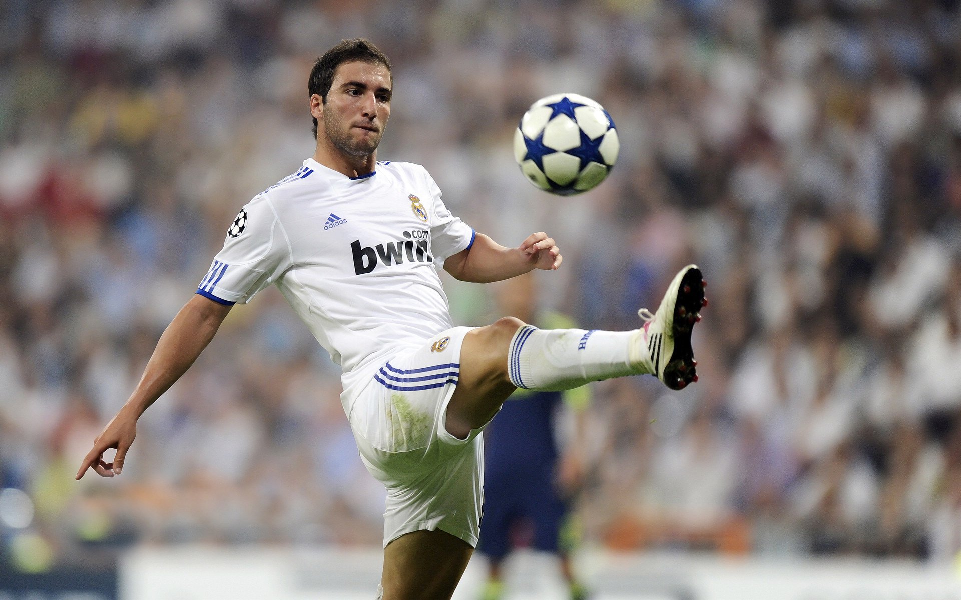 特色足球场馆认养运营模式在多地推广，推动行业多元合作，足球培训基地